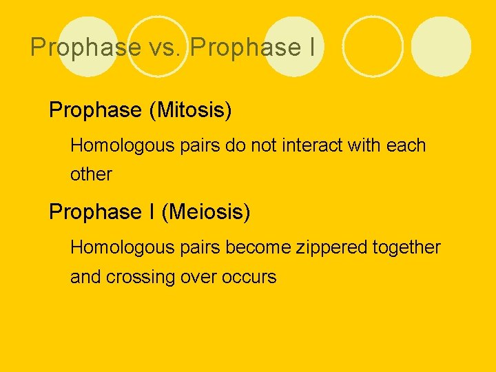 Prophase vs. Prophase I l Prophase (Mitosis) ¡ Homologous pairs do not interact with