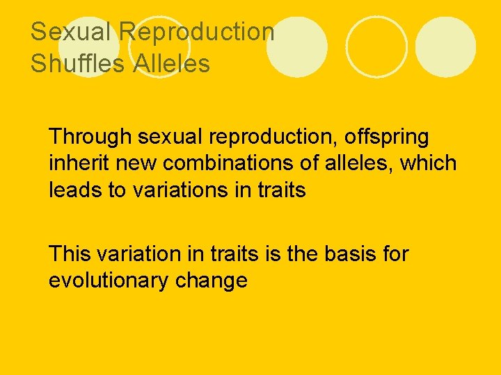 Sexual Reproduction Shuffles Alleles l Through sexual reproduction, offspring inherit new combinations of alleles,