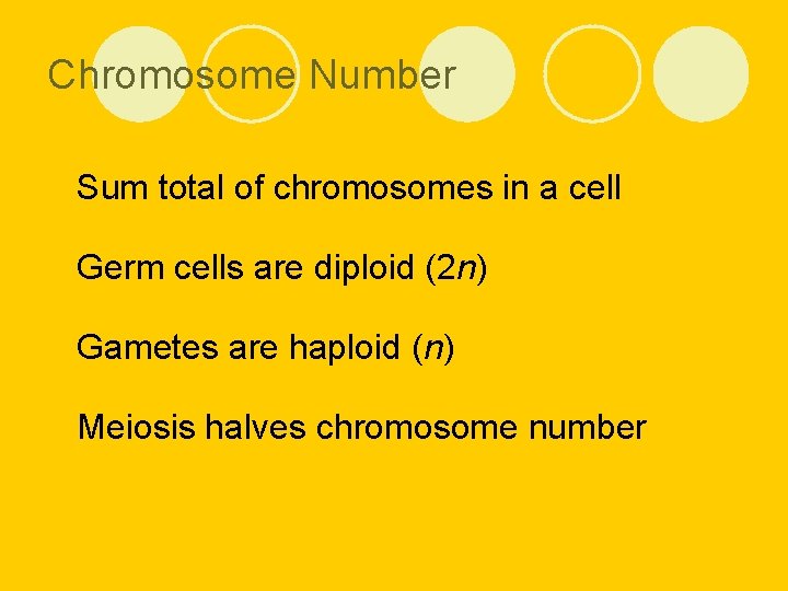 Chromosome Number l Sum total of chromosomes in a cell l Germ cells are