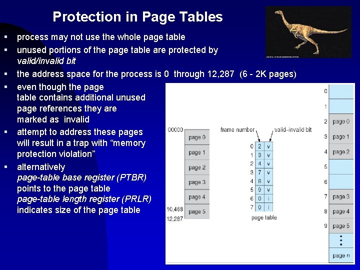 Protection in Page Tables § § § process may not use the whole page