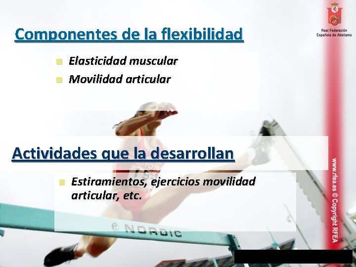 Componentes de la flexibilidad Elasticidad muscular Movilidad articular Actividades que la desarrollan Estiramientos, ejercicios