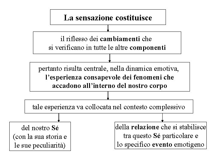 La sensazione costituisce il riflesso dei cambiamenti che si verificano in tutte le altre La sensazione costituisce il riflesso dei cambiamenti che si verificano in tutte le altre