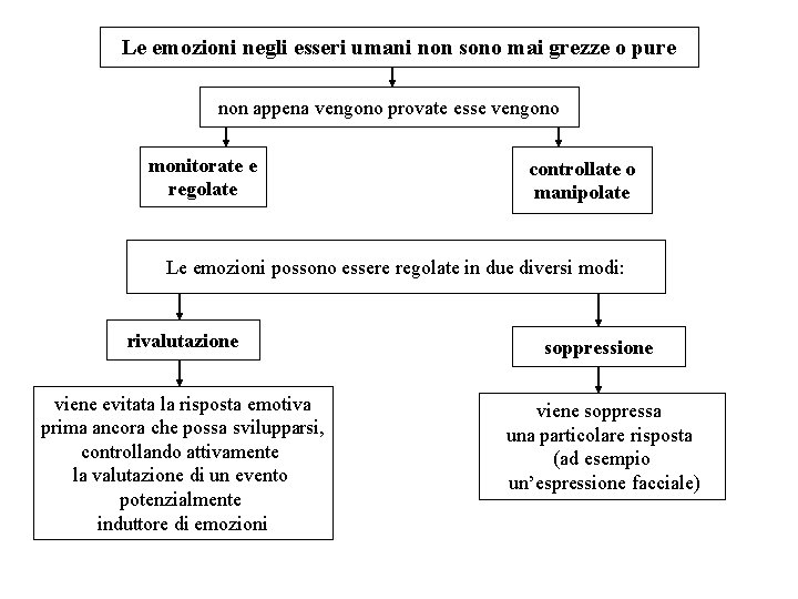 Le emozioni negli esseri umani non sono mai grezze o pure non appena vengono Le emozioni negli esseri umani non sono mai grezze o pure non appena vengono