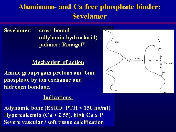 Aluminum- and Ca free phosphate binder: Sevelamer: cross-bound (allylamin hydroclorid) polimer: Renagel® Mechanism of