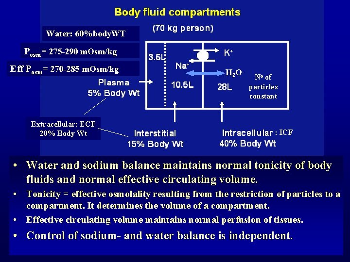 Water: 60%body. WT Posm= 275 -290 m. Osm/kg Eff Posm= 270 -285 m. Osm/kg