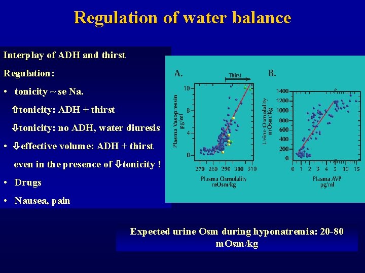 Regulation of water balance Interplay of ADH and thirst Regulation: • tonicity ~ se
