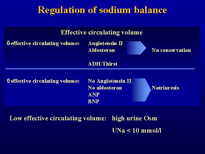 Regulation of sodium balance Effective circulating volume effective circulating volume: Angiotensin II Aldosteron Na