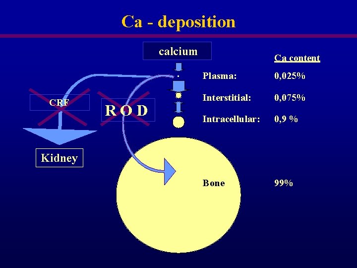 Ca - deposition calcium . CRF ROD Ca content Plasma: 0, 025% Interstitial: 0,