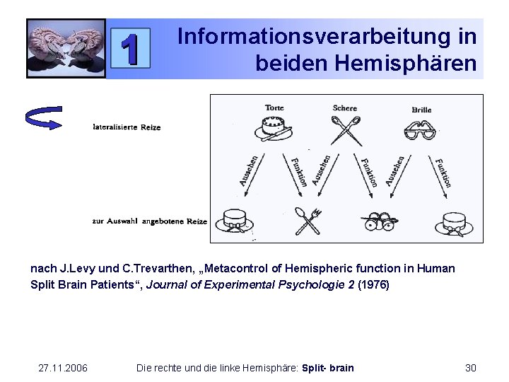 Informationsverarbeitung in beiden Hemisphären nach J. Levy und C. Trevarthen, „Metacontrol of Hemispheric function