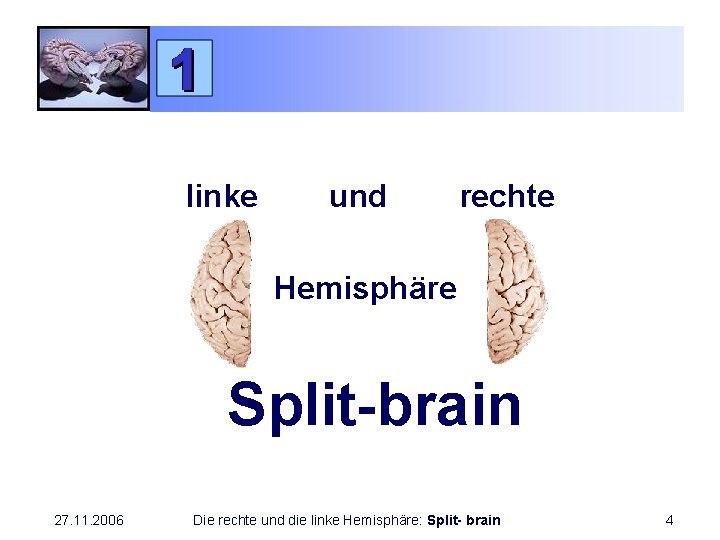 linke und rechte Hemisphäre Split-brain 27. 11. 2006 Die rechte und die linke Hemisphäre: