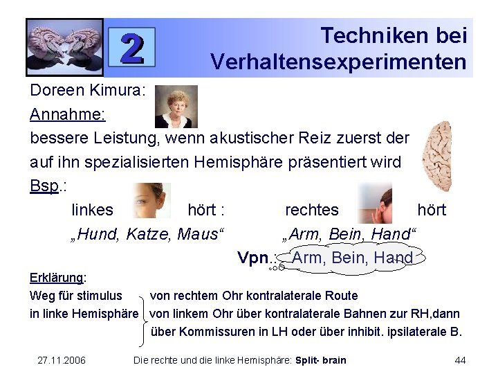 Techniken bei Verhaltensexperimenten Doreen Kimura: Annahme: bessere Leistung, wenn akustischer Reiz zuerst der auf