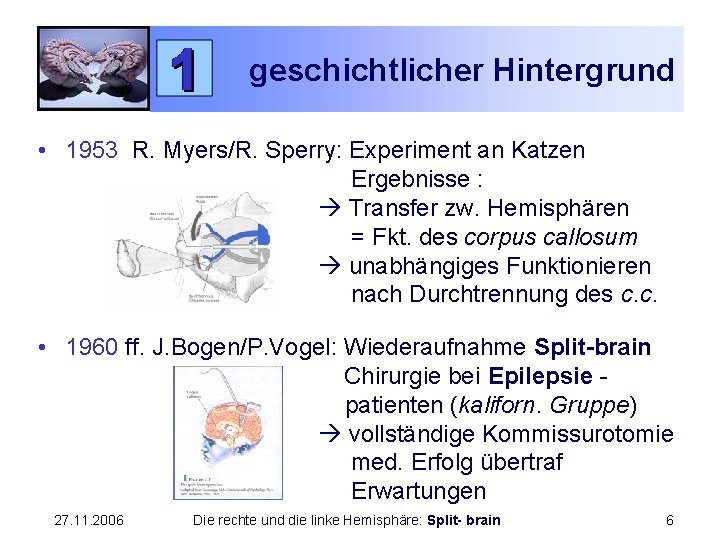 geschichtlicher Hintergrund • 1953 R. Myers/R. Sperry: Experiment an Katzen Ergebnisse : Transfer zw.