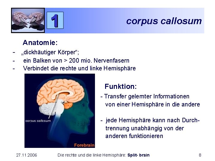 corpus callosum Anatomie: - „dickhäutiger Körper“; - ein Balken von > 200 mio. Nervenfasern