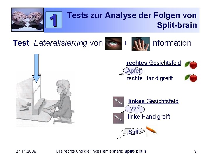 Tests zur Analyse der Folgen von Split-brain Test : Lateralisierung von + Information rechtes