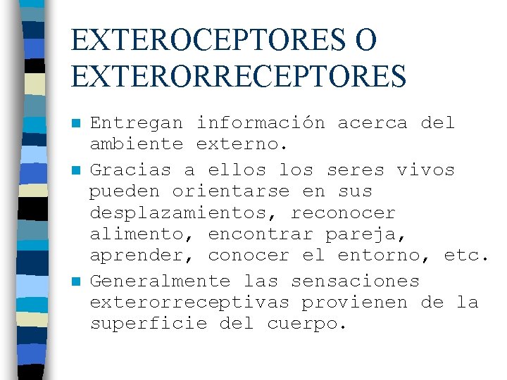 EXTEROCEPTORES O EXTERORRECEPTORES n n n Entregan información acerca del ambiente externo. Gracias a