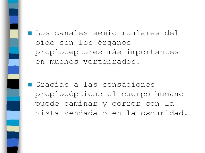 n Los canales semicirculares del oído son los órganos propioceptores más importantes en muchos