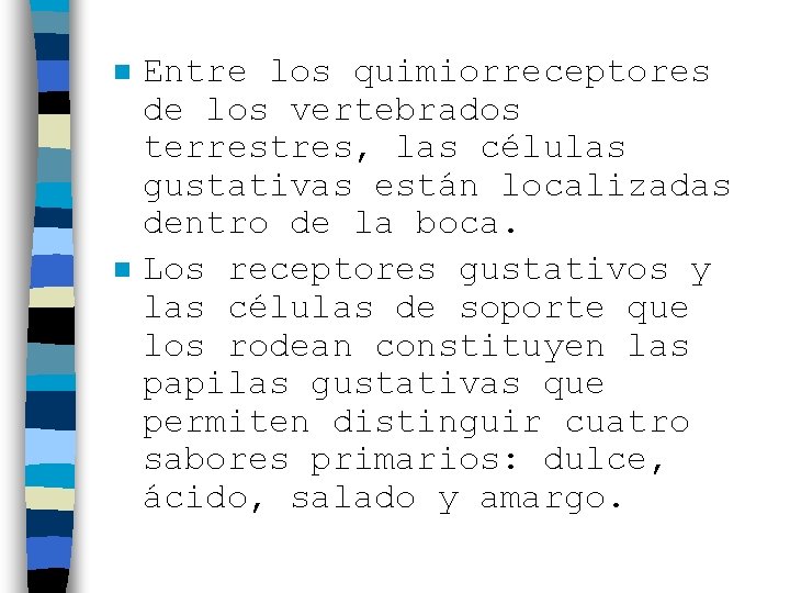 n n Entre los quimiorreceptores de los vertebrados terrestres, las células gustativas están localizadas