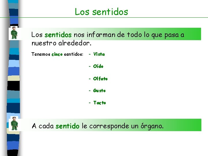Los sentidos nos informan de todo lo que pasa a nuestro alrededor. Tenemos cinco