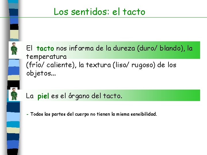 Los sentidos: el tacto El tacto nos informa de la dureza (duro/ blando), la