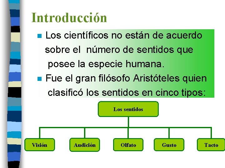 Introducción Los científicos no están de acuerdo sobre el número de sentidos que posee