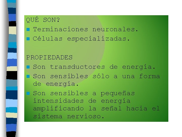 QUÉ SON? n Terminaciones neuronales. n Células especializadas. PROPIEDADES n Son transductores de energía.