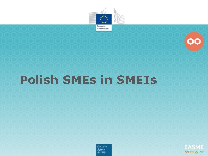 Polish SMEs in SMEIs 