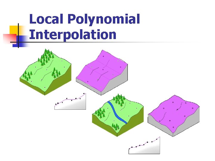 Local Polynomial Interpolation 