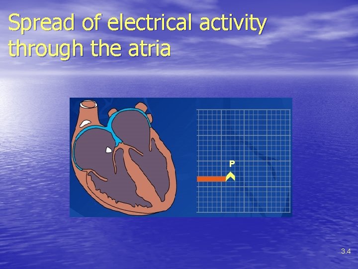 Spread of electrical activity through the atria P 3. 4 