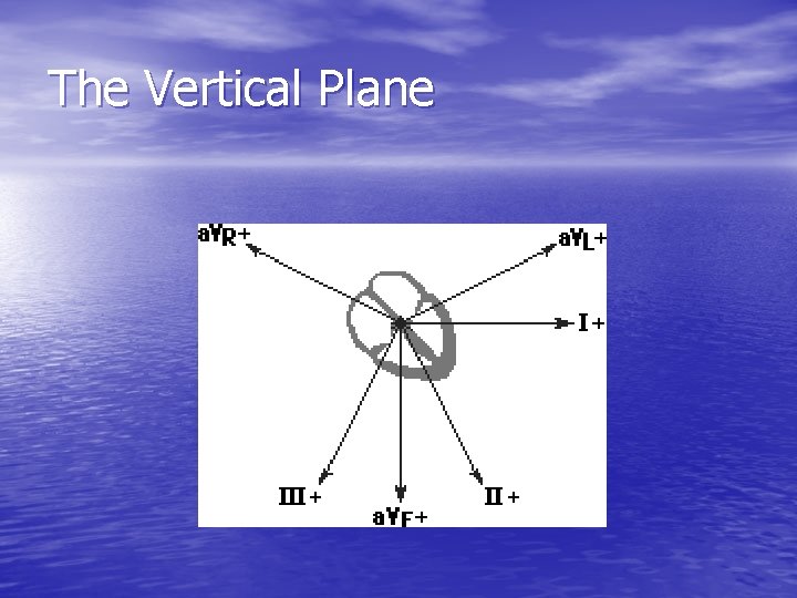 The Vertical Plane 