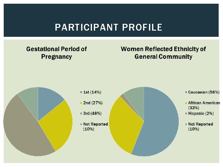 PARTICIPANT PROFILE 