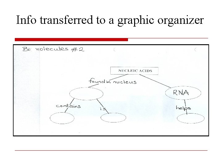Info transferred to a graphic organizer 
