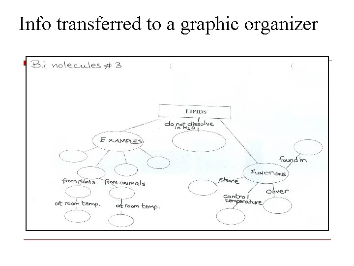 Info transferred to a graphic organizer 