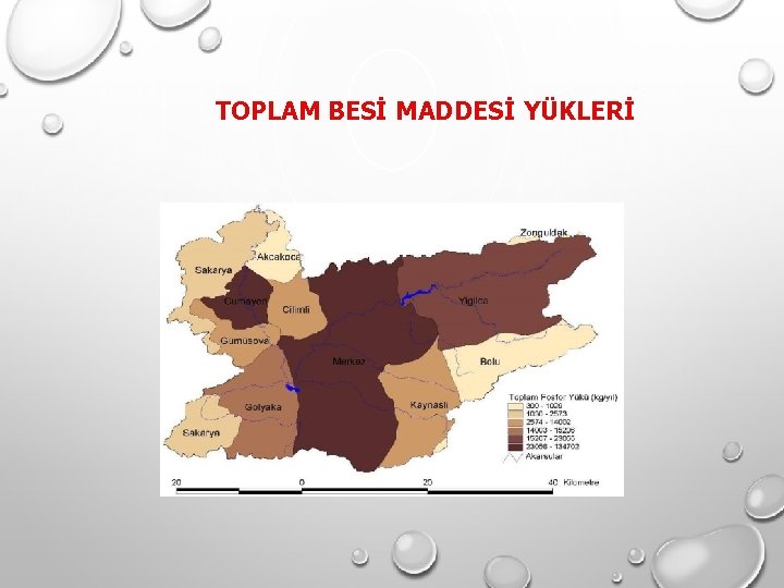 TOPLAM BESİ MADDESİ YÜKLERİ TOPLAM BESİ MADDESİ YÜKLERİ