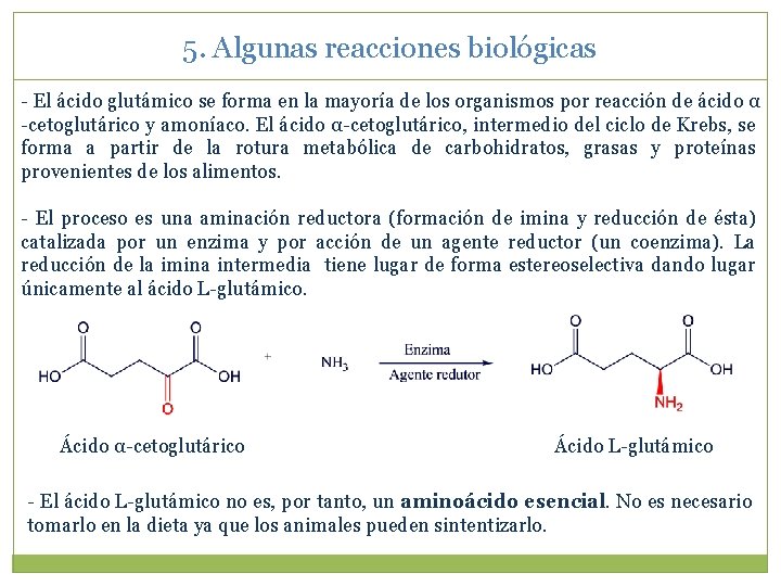 5. Algunas reacciones biológicas - El ácido glutámico se forma en la mayoría de