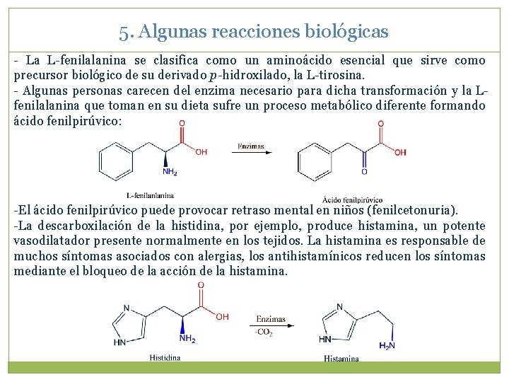 5. Algunas reacciones biológicas - La L-fenilalanina se clasifica como un aminoácido esencial que