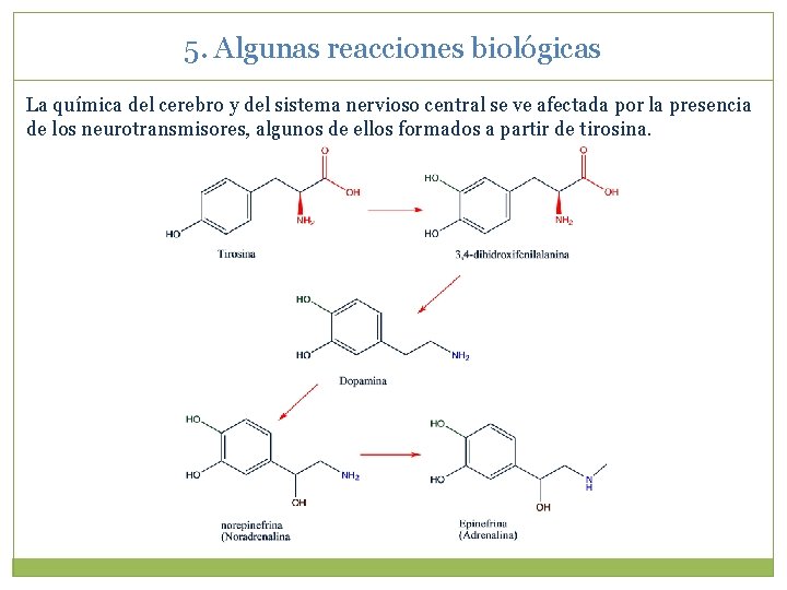 5. Algunas reacciones biológicas La química del cerebro y del sistema nervioso central se