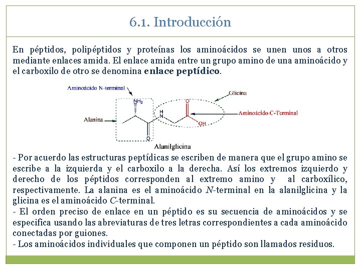 6. 1. Introducción En péptidos, polipéptidos y proteínas los aminoácidos se unen unos a