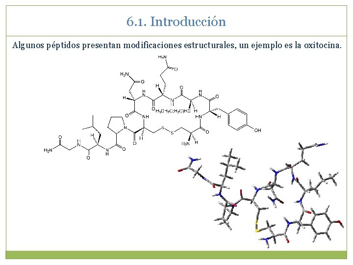 6. 1. Introducción Algunos péptidos presentan modificaciones estructurales, un ejemplo es la oxitocina. 