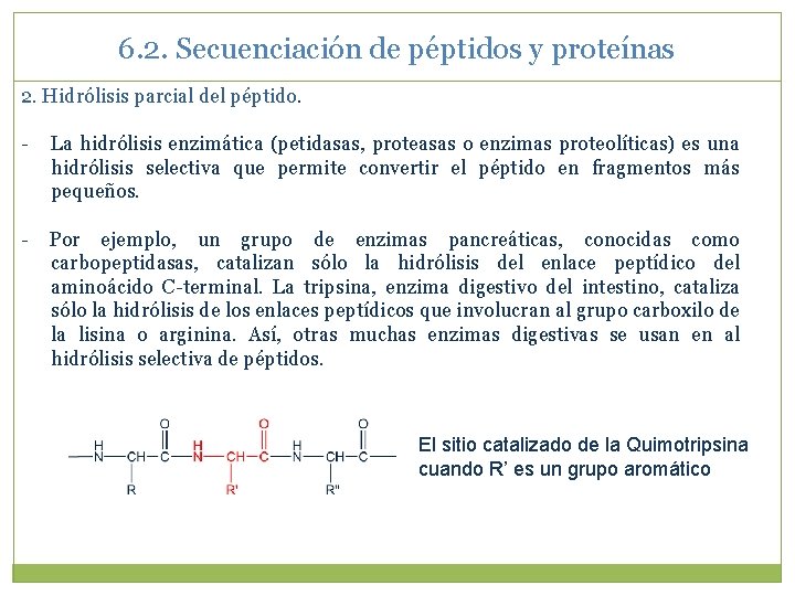 6. 2. Secuenciación de péptidos y proteínas 2. Hidrólisis parcial del péptido. - La