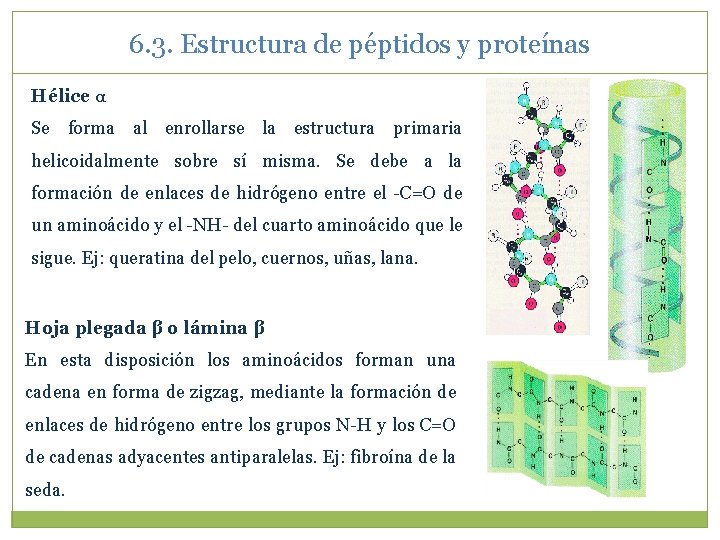 6. 3. Estructura de péptidos y proteínas Hélice α Se forma al enrollarse la