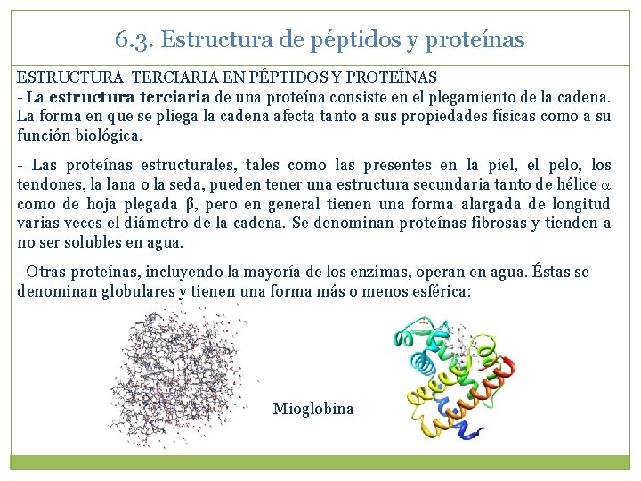 6. 3. Estructura de péptidos y proteínas ESTRUCTURA TERCIARIA EN PÉPTIDOS Y PROTEÍNAS -