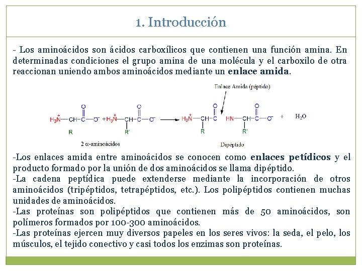 1. Introducción - Los aminoácidos son ácidos carboxílicos que contienen una función amina. En