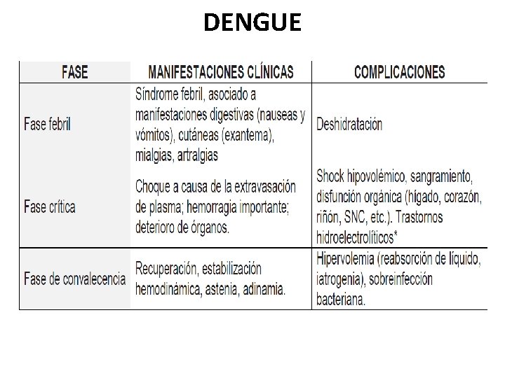 DENGUE 