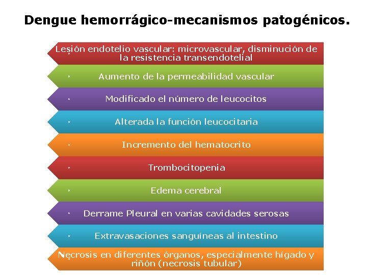 Dengue hemorrágico-mecanismos patogénicos. Lesión endotelio vascular: microvascular, disminución de la resistencia transendotelial Aumento de