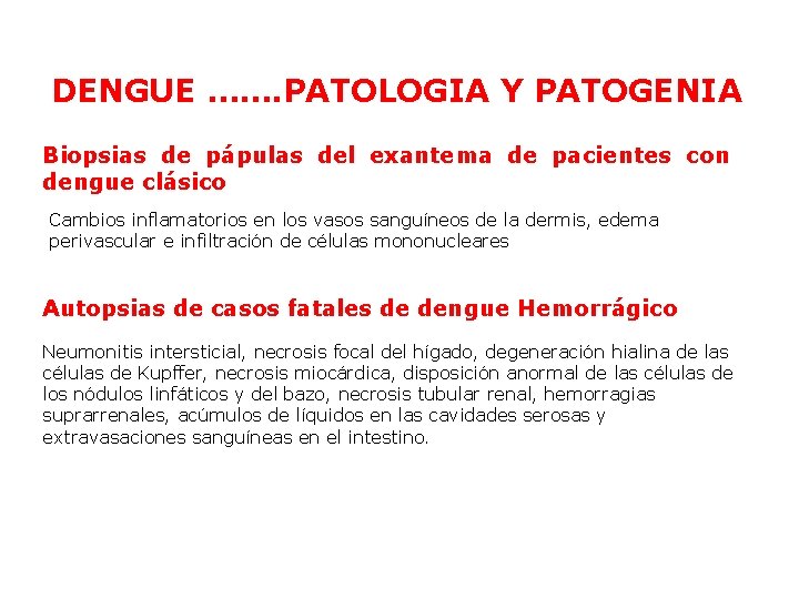 DENGUE ……. PATOLOGIA Y PATOGENIA Biopsias de pápulas del exantema de pacientes con dengue