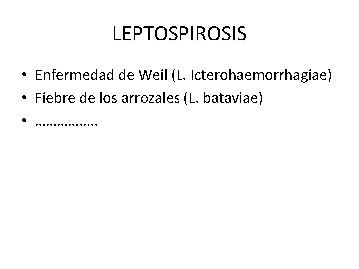 LEPTOSPIROSIS • Enfermedad de Weil (L. Icterohaemorrhagiae) • Fiebre de los arrozales (L. bataviae)