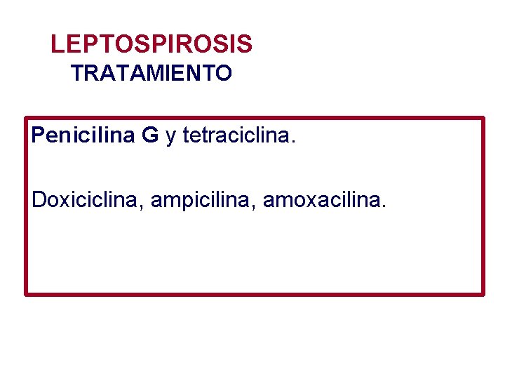 LEPTOSPIROSIS TRATAMIENTO Penicilina G y tetraciclina. Doxiciclina, ampicilina, amoxacilina. 