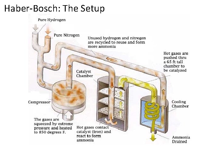 Haber-Bosch: The Setup 