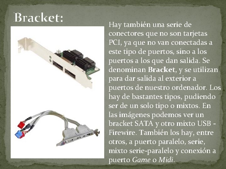 Bracket: Hay también una serie de conectores que no son tarjetas PCI, ya que