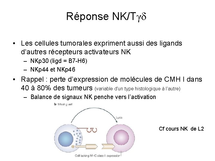 Réponse NK/Tγδ • Les cellules tumorales expriment aussi des ligands d’autres récepteurs activateurs NK